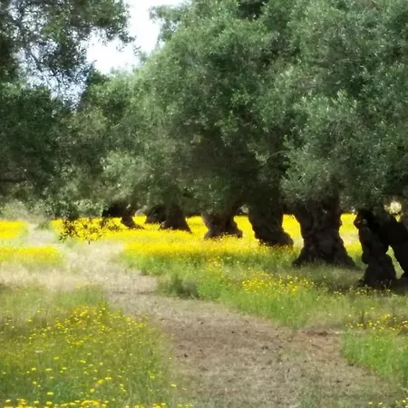 Il Tabacchificio Διαμέρισμα *